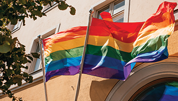 Rainbow flags